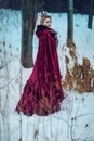 Beautiful Girl in a Raspberry Cloak and Crown in the Woods Royalty Free Stock Photo