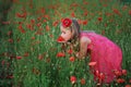 Beautiful girl in red dress walks at poppy field Royalty Free Stock Photo