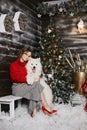 Beautiful girl in red shoes, plaid skirt and red sweater hugs fluffy Samoyed dog against the background of the New Year Royalty Free Stock Photo