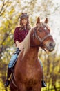 Beautiful girl riding horse on autumn field Royalty Free Stock Photo