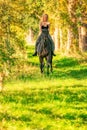 Beautiful girl riding a horse riding without a saddle in a autumn forest Royalty Free Stock Photo