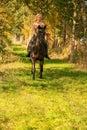 Beautiful girl riding a horse riding without a saddle in a autumn forest Royalty Free Stock Photo