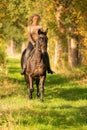 Beautiful girl riding a horse riding without a saddle in a autumn forest Royalty Free Stock Photo