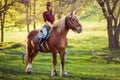 Beautiful girl riding horse on summer field Royalty Free Stock Photo