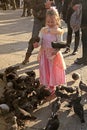 Beautiful girl on San Marco square feed large flock of pigeons i Royalty Free Stock Photo