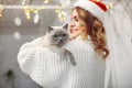 Beautiful girl sitting on a bed with cute kitty Royalty Free Stock Photo