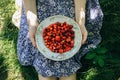 Beautiful girl is sitting on the grass in blue vintage dress. Woman is holding plate with home strawberries. Rustic summer fruit Royalty Free Stock Photo