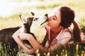 A girl is kissing a dog of the breed of husky. Royalty Free Stock Photo