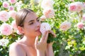 Beautiful girl smelling a rose flower in spring park. Young woman in flowering garden with roses. Beauty model with