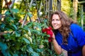 Beautiful girl smells the roses. Woman doing garden work sniffing at the roses at beautifully sunny day Royalty Free Stock Photo