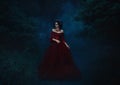 Beautiful girl standing in a red dress Royalty Free Stock Photo