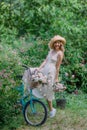 Beautiful girl in a straw hat decorated with roses and a cream retro dress walks with a mint colored bicycle in the garden of a
