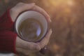 Beautiful girl in sweater holding cup of tea in hands in the forest. Warm autumn moody photo, fall concept. Copy space Royalty Free Stock Photo