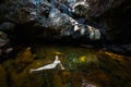 Beautiful girl swimming in waterfall Royalty Free Stock Photo