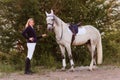 Beautiful girl teen holds the bridle of a beautiful white horse Royalty Free Stock Photo