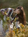 Beautiful girl in Ukrainian costume Royalty Free Stock Photo