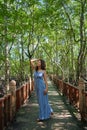 Beautiful girl walking through the mangrove forest in Asia Royalty Free Stock Photo