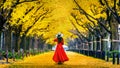 Beautiful girl walking at row of yellow ginkgo tree in autumn. Autumn park in Tokyo, Japan.