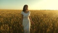 Beautiful girl walks across a field of ripe wheat and touches ears of grain with her hands. Slow motion. woman running Royalty Free Stock Photo