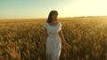 Beautiful girl walks across a field of ripe wheat and touches ears of grain with her hands. Slow motion. woman running Royalty Free Stock Photo