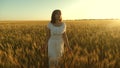Beautiful girl walks across a field of ripe wheat and touches ears of grain with her hands. Slow motion. woman running Royalty Free Stock Photo