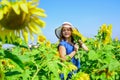 beautiful girl wear straw summer hat in field. pretty kid with flower. beauty of summer nature. little girl in sunflower Royalty Free Stock Photo