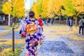 Beautiful girl wearing japanese traditional kimono in autumn. Autumn park in Sapporo, Japan. The colourful Kimono and the