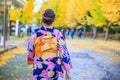 Beautiful girl wearing japanese traditional kimono in autumn. Autumn park in Sapporo, Japan. The colourful Kimono and the