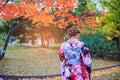 Beautiful girl wearing japanese traditional kimono in autumn. Autumn park in Sapporo, Japan. The colourful Kimono and the