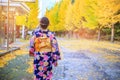 Beautiful girl wearing japanese traditional kimono in autumn. Autumn park in Sapporo, Japan. The colourful Kimono and the