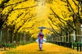 Beautiful girl wearing japanese traditional kimono at row of yellow ginkgo tree in autumn. Autumn park in Tokyo, Japan. Royalty Free Stock Photo