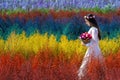 Beautiful girl in white dress sitting in Cutter rainbow flowers fields, Chiang Mai Royalty Free Stock Photo