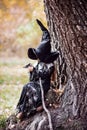 Beautiful girl witch. little girl in which costume celebrate Halloween outdoor and have a fun.