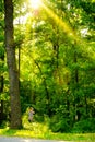 Beautiful girl in the woods. green background. sunbeams in the forest.