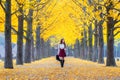 Beautiful Girl with Yellow Leaves in Nami Island, Korea Royalty Free Stock Photo