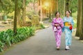 Girlfriends traveler women wearing japanese kimono Royalty Free Stock Photo