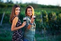 Beautiful girls tasting wine in a field near vineyard field. Celebrating successful harvest season. Couple having a romantic date Royalty Free Stock Photo