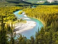 Bow River, Banff National Park, Alberta, Canada Royalty Free Stock Photo