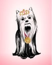 Beautiful Glamour Dog Winner Template Royalty Free Stock Photo