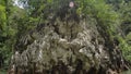 Beautiful glare of light on a rock in the jungle, swimming nearby