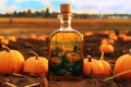 Beautiful glass bottle of pumpkin oil with orange and green pumpkins are standing on ground in field