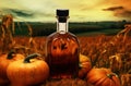 Beautiful glass bottle of pumpkin oil with orange and green pumpkins are standing on ground in field