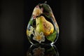 Beautiful glass pear with floral design inside