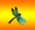 Beautiful glass dragonfly with effect of holography Royalty Free Stock Photo