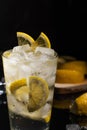 Beautiful glass with sparkling water or other transparent drink and a slices of lemon and ice cubes on black background horizontal Royalty Free Stock Photo