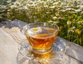 Beautiful glass teacup with chamomile tea on a wooden table among blooming daisies in the rays of the setting sun in Greece