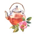 Beautiful glass teapot with dog roses flowers. Watercolor kettle illustration, isolate on white background.