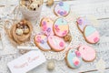 Beautiful glazed Easter cookies