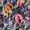 Beautiful gloriosa lily flowers with climbing leaves on dark background. Seamless floral pattern. Watercolor painting.
