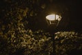 beautiful glowing street lamp in the park at night Royalty Free Stock Photo